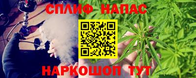 шишки Нальчик