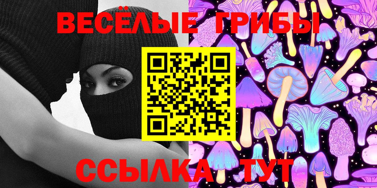 закладка  Вход с VPN  Торжок  Галлюциногенные грибы Cubensis 